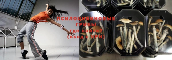 каннабис Белокуриха