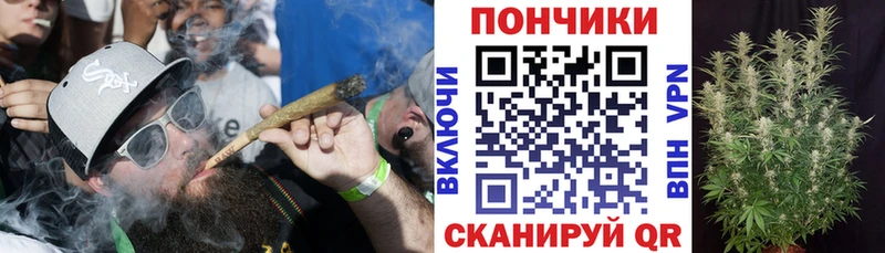 Бошки Шишки White Widow  даркнет сайт  Новоузенск 
